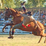 Un consiglio al Cavaliere dimezzato
